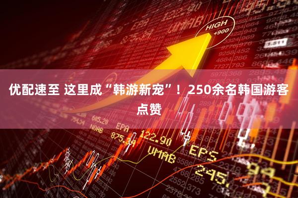 优配速至 这里成“韩游新宠”！250余名韩国游客点赞
