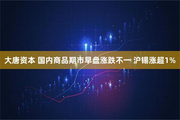 大唐资本 国内商品期市早盘涨跌不一 沪锡涨超1%