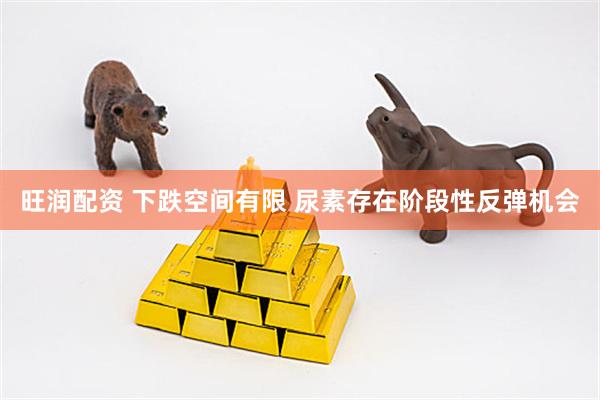 旺润配资 下跌空间有限 尿素存在阶段性反弹机会