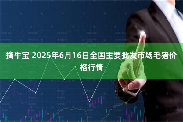 擒牛宝 2025年6月16日全国主要批发市场毛猪价格行情